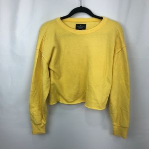 Crop American Eagle Sweater